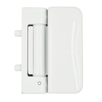 Evolution 3D Security Flag Hinge